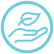 Icon 1